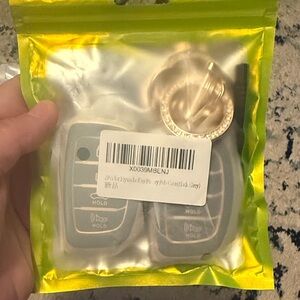 Key Fob with Gold Keychain